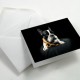 Fotocard - Platinum Gloss Art Fibre 290 A6
