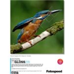 Pigment Friendly Gloss 270 Photo Quality