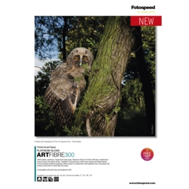 Platinum Gloss Art Fibre 300 Photo Quality Paper A3+