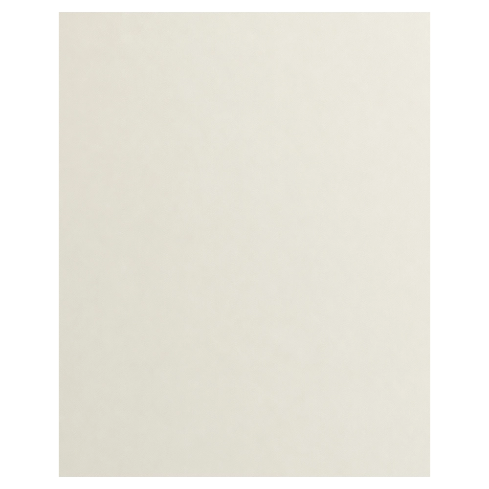 50 x 40cm Camera Club Cream Core Backing Board